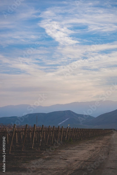 Obraz Road to the mountains