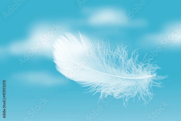 Fototapeta Lightly White Feather Floating in A Blue Sky with Clouds. Abstract Feather Flying in Heavenly Concept.