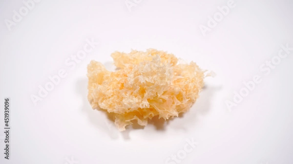 Fototapeta きくらげ