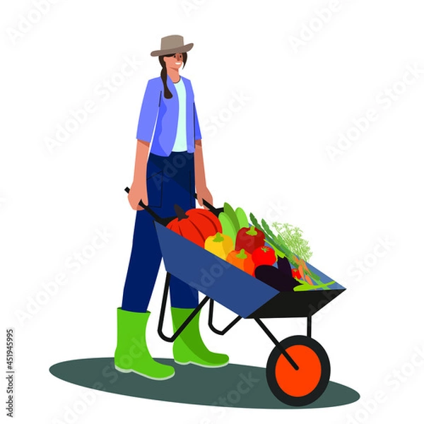 Obraz Gardener girl with a wheelbarrow of vegetables Flat vector Illustration.