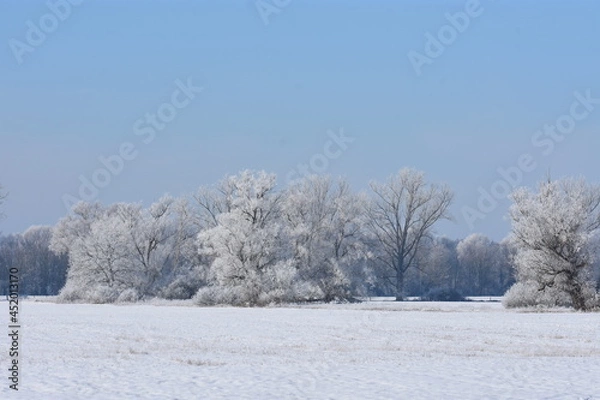 Obraz Schneelandschaft