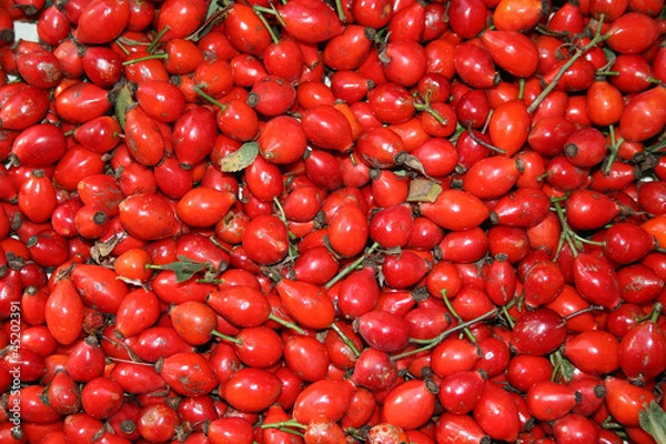 Obraz Плоды шиповника