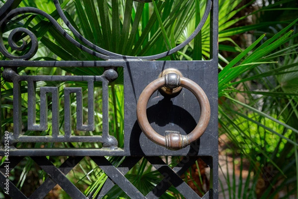 Fototapeta Round handle on a metal gate entryway. Tropical saw palmetto plants in the background.