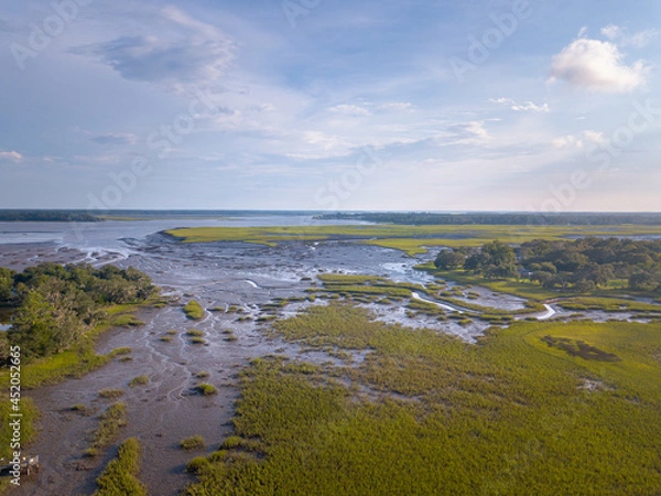 Fototapeta Aerial view of the coastline with vegetation during low tide.