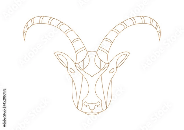 Fototapeta Koziorożec