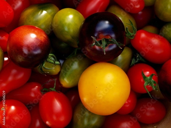 Obraz Tomatenvielfalt 3