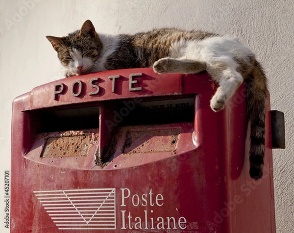 Obraz Cat on a Postbox