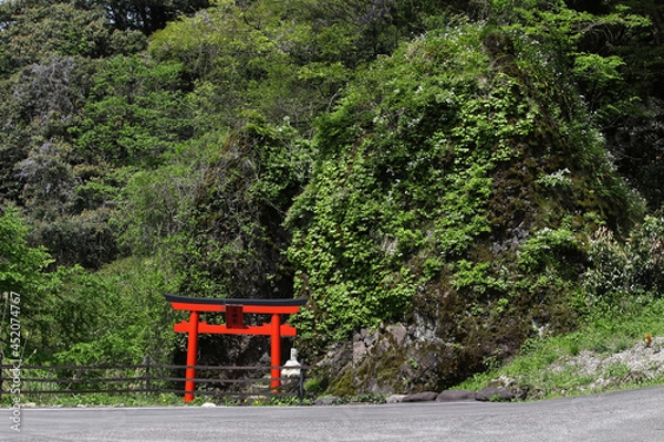 Obraz 赤い鳥居と植物に覆われた大きな岩