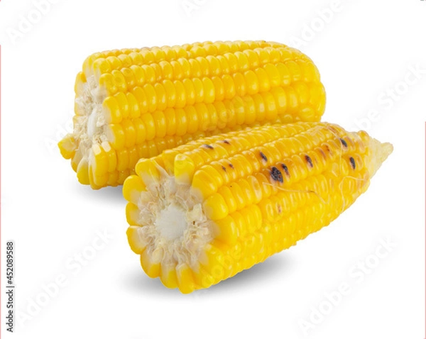 Obraz Grilled corn isolated on white background