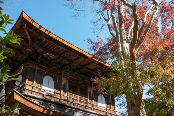 Fototapeta 京都の秋