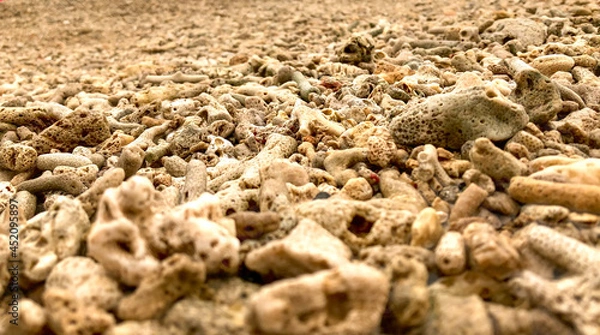 Fototapeta coral beach