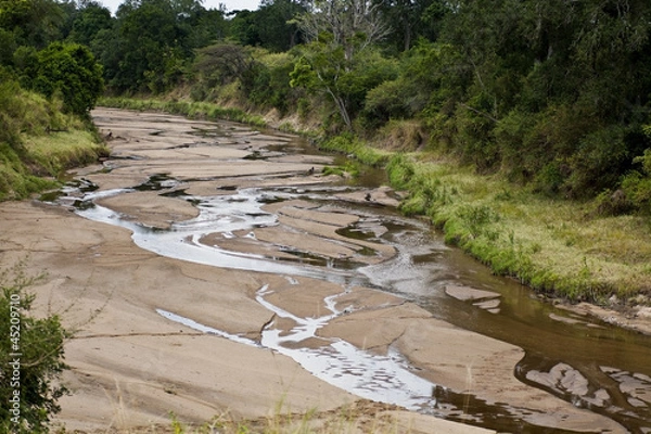 Obraz landscape of the savannah in Kenya