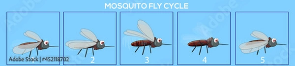 Obraz Mosquito frame by frame loopable vector file ready for 2D animation, the editable Illustration source file for motion graphics, infographics, animated video, explanatory, with a plain Blue Background