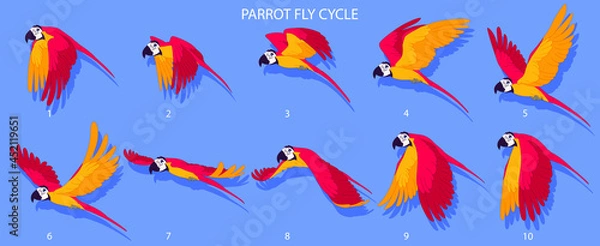 Obraz Red Parrot Fly cycle frame by frame loopable vector file ready for 2D animation, the editable Illustration source file for motion graphics, infographics, animated video, explanatory, E-learning