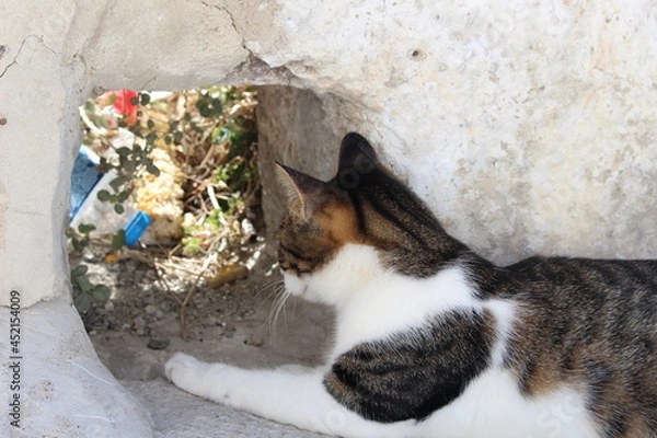 Obraz サントリーニ島