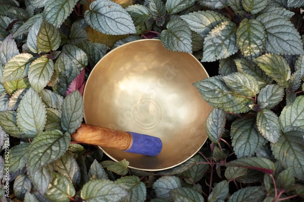 Obraz metal singing tibetian bowl nature background
