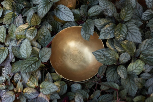 Obraz Singing Tibetian bowl relaxation nature background
