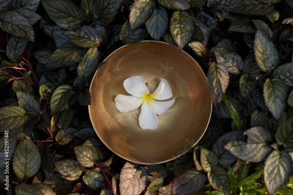 Obraz Tibetian bowl and flower
