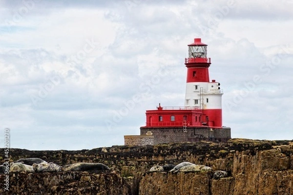 Obraz Lighthouse with seals