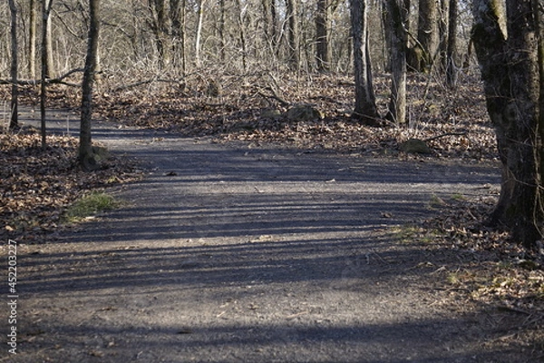 Fototapeta Diverging Road