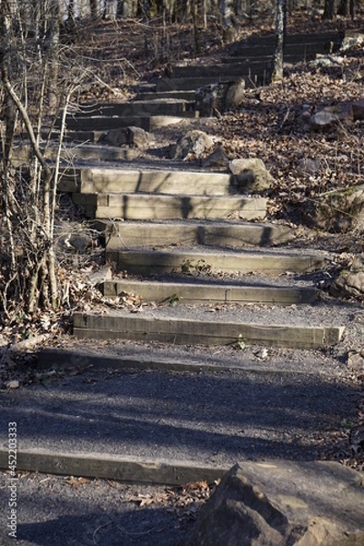 Fototapeta Trail Steps