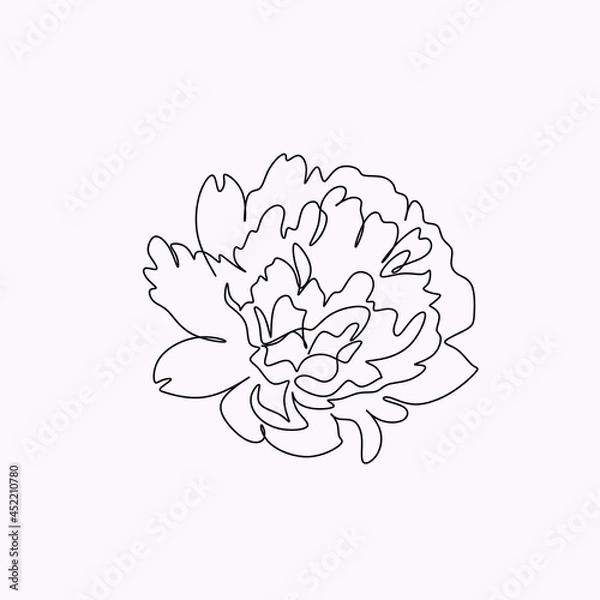 Fototapeta Peony Flowers one line art vector. Botanical peonies line drawing minimalist