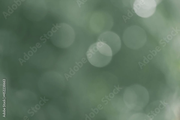 Obraz natural bokeh background after rain