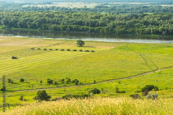 Obraz Don river valley in early summer