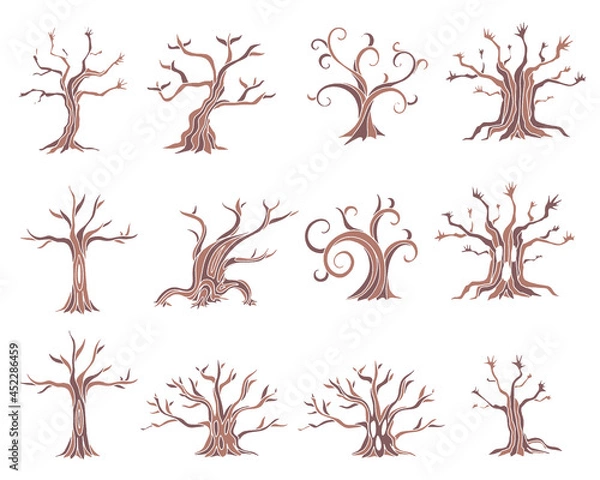 Fototapeta 木のカラーイラスト