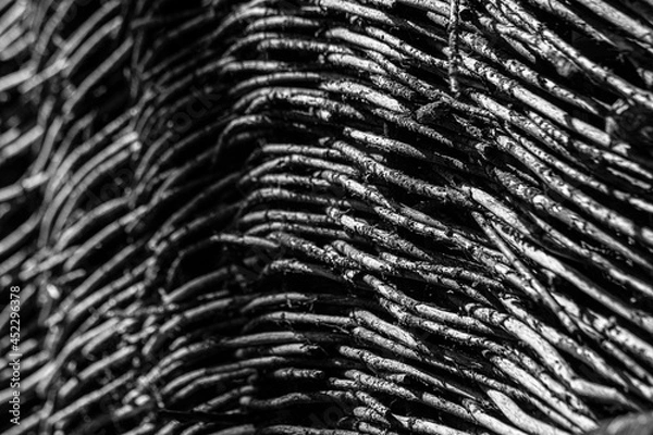 Fototapeta Weidenzaun