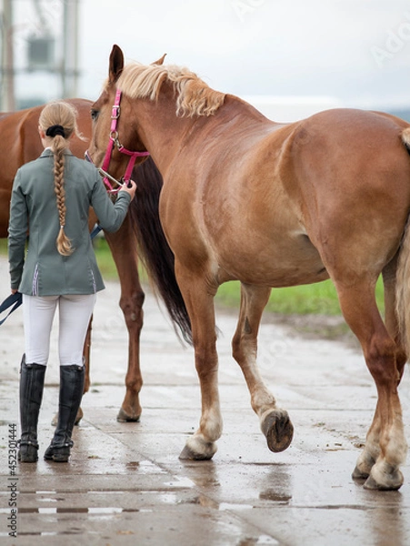 Obraz A girl with a scythe leading a red horse under the knots on the wet asphalt.