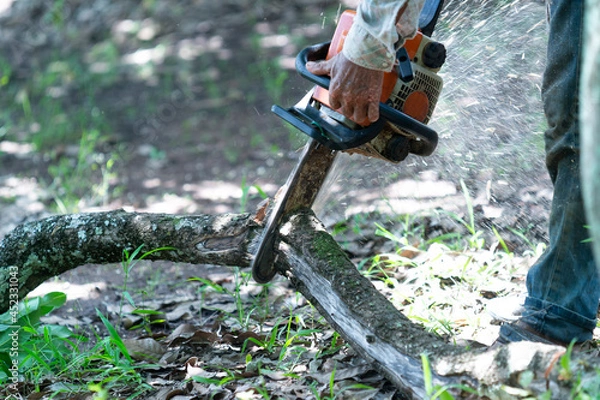 Fototapeta Man tree cutter with a small chainsaw, which is light and easy to carry.