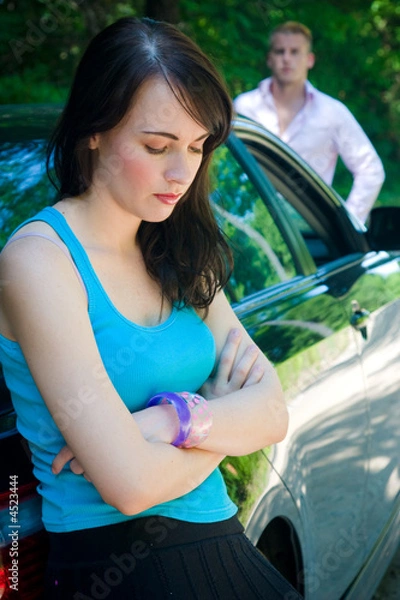 Obraz Road Trip - Aurguments