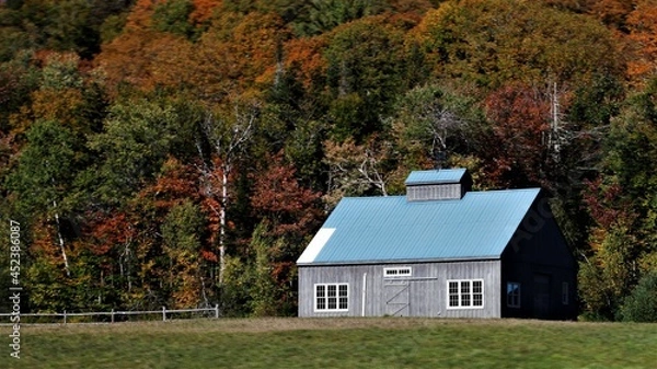 Obraz house in autumn