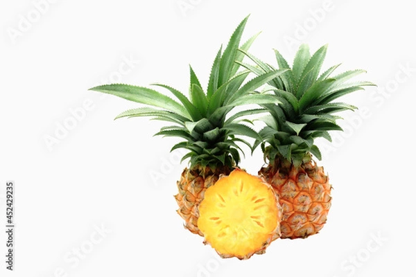 Obraz pineapple isolated on white background with work path