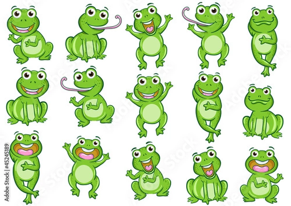 Obraz frog