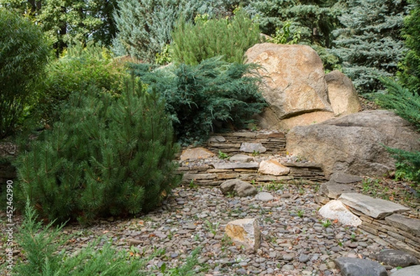 Fototapeta A plot of a natural park with stones and plant bushes.