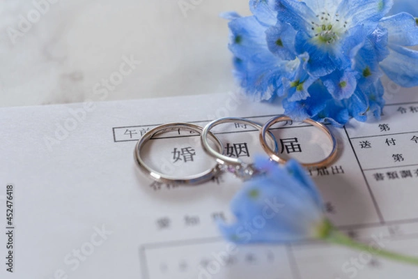 Obraz 婚姻届と婚約指輪と結婚指輪とデルフィニウム
