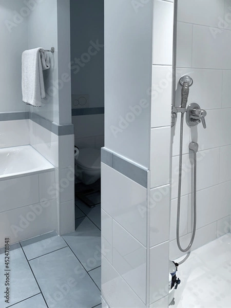 Obraz Salle de douche