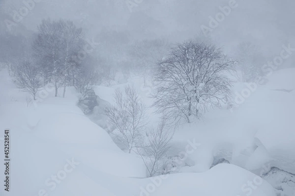 Obraz 小川が雪庇に覆われて雪原に裂け目ができた冬の高原風景