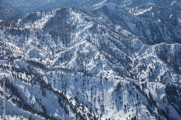 Obraz 冬の山襞に谷と木々が影模様を描く