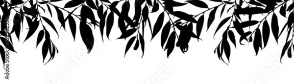 Fototapeta Monochrome vector cute horisontal seamless pattern with willow leaves isolated on white background.