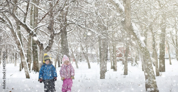 Fototapeta Winter park under the snow. A snowstorm in the city park. Park for walks with the whole family under the snow cover.