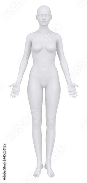 Obraz Female body in anatomical position anterior view clipping path