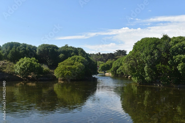 Obraz Lake in the forest