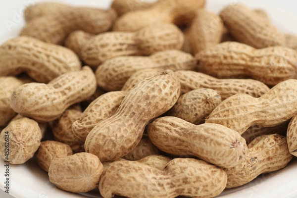 Fototapeta 落花生
