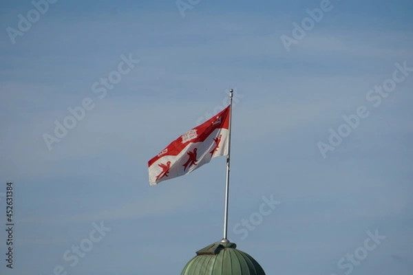 Fototapeta Montreal, QC, Canada - 8-4-2021: Isolated flag of McGill university flies in the air in a windy day with a background of a clear blue sky. First back to school in Fall 2021 since covid-19