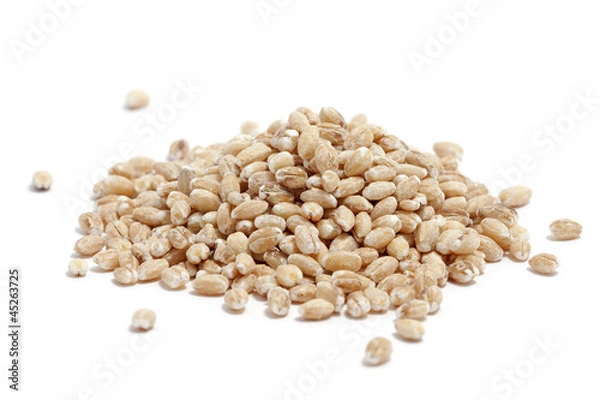 Obraz barley isolated
