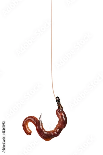 Fototapeta Fish hook