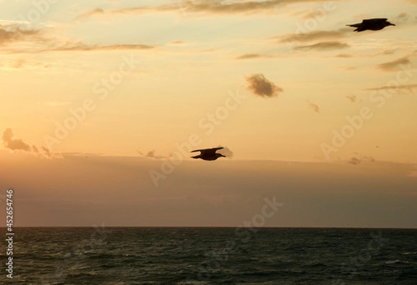 Fototapeta sunset on the beach
